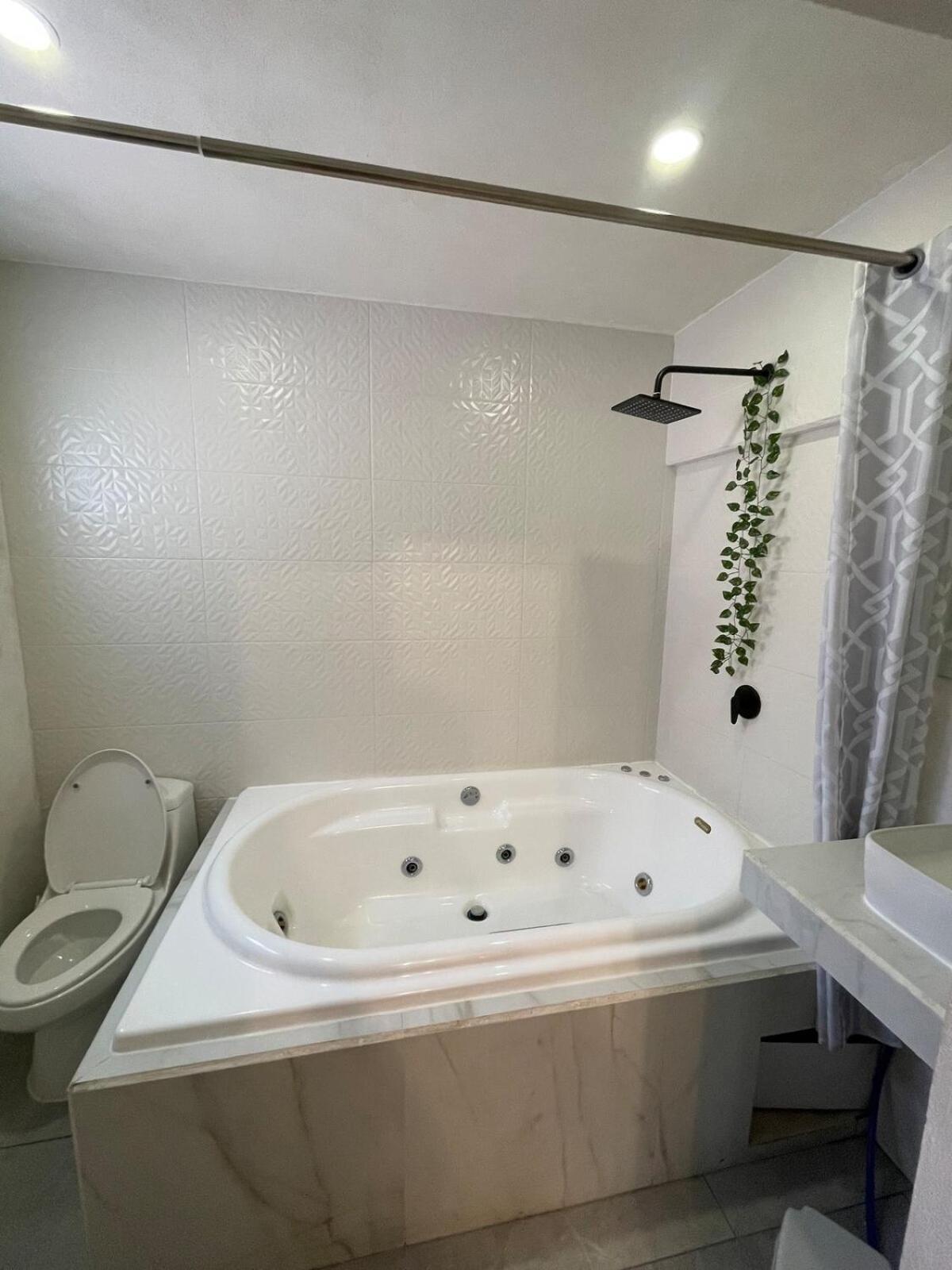 Comoda Centrica - Casa Pirul Apartamento Aguascalientes